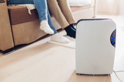 Humidifier Installation in Sarasota, FL